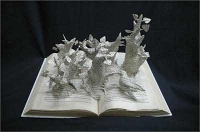 Book Forest by Sarah Fissel