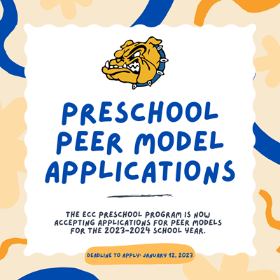Preschool Peer Model Application
